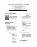 Aorendiendo a aprender