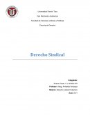 Derecho laboral colectivo. Derecho sindical