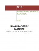 CLASIFICACIÓN DE BACTERIAS