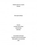 Polémica derecho a la salud (Ensayo)
