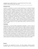 Ensayo delitos y penas