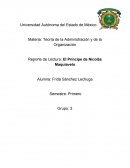 Hola Problema 1 Semestre: Primero