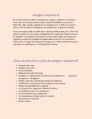 Plan de emergencia empresarial