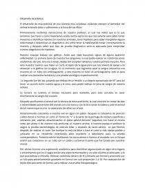 Caracteristicas. Página 1