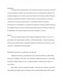 Razones Financieras.Planteamiento del proyecto se podrá tener una visión clara