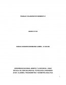 COMO SE DA EL TRABAJO DE ALGEBRA LINEAL