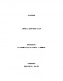 QUE ES FLACIDEZ Y CUALES SON SUS CAUSAS QUE LA CONTRIBUYEN