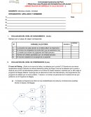 Administracion de empresas IV Ciclo sección Evalaucion auditoria