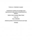 Cuales son los Fundamentos cientificos en la psicologia actual : importancia de la observación en el planteamiento de hipótesis.