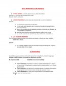 Ideas ´principales y secundarias