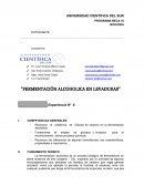 Gguia de laboratorio de quimica