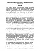 DERECHOS SOCIALES FUNDAMENTALES COMO DERECHOS SUBJETIVOS