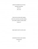 Mecanica MEDIDAS FUNDAMENTALES EN FÍSICA