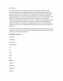 La Resiliencia. CARACTERISTICAS DE PERSONALIDAD QUE MOTIVAN LA RESILIENCIA