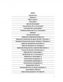 Proyecto Comunitario. Problemas Relevantes En La Comunidad