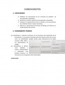 CARBOHIDRATOS. CLASIFICACIÓN