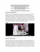 Proyectos productivos ofimática