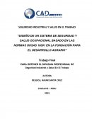 Trabajo final de seguridad industrial y salud en el trabajo