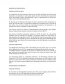 Analisis vertica y horizontal