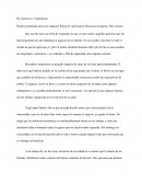 DE CARNICERO A VEGANO