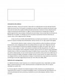 Gabriela y la mentalidad japonesa