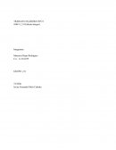 Trabajo colaborativo calculo integral
