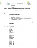 CULTIVO-Y-AISLAMIENTO-E-IDENTIFICACIÓN-BIOQUÍMICA-DE-BACTERIAS (1)