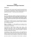 Ensayo de Riesgos Financieros