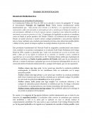 TRABAJO DE INVESTIGACION REALIDAD PROBLEMATICA Delimitación de la Realidad Problemática