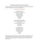 Análisis de Matemáticas Sentimentales