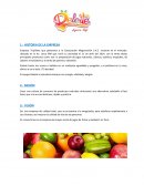 Gestion de compras Corporación Magnovisión S.A.C