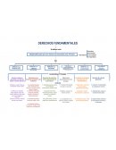 MAPA DERECHOS FUNDAMENTALES