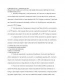 PREGUNTAS TEÓRICAS. CAPÍTULO 6 DE LIBRO FINANZAS CORPORATIVAS DE STEPHEN ROSS