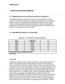 CAPITULO II 1) ASPECTOS SOCIOECONOMICOS