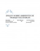ENSAYO SOBRE AMBIENTES DE TRABAJO SALUDABLES