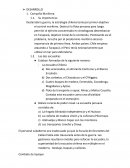 DESARROLLO HISTORICO. Campaña Marítima