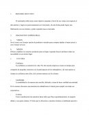 GERENCIA ESTRATEGICA El minimarket delia