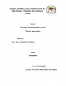 Proceso de alfabetizacion