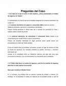Preguntas del Caso. El Modelo Portal