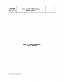 Guia de shock septico