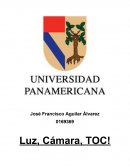 ¿Por qué se deseó escribir este libro? Los descubrimientos de las neurociencias