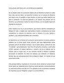 EVOLUCION HISTORICA DE LOS DERECHOS HUMANOS