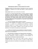 Metodología para elaborar y evaluar proyectos de inversión