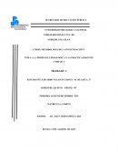 LA PROPUESTA PEDAGOGICA Y LA PRACTICA DOCENTE