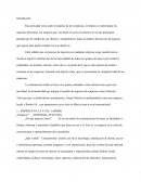 ENSAYO DE UNA EMPRESA:TELEVISA