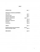 Pae Hemodialisis PROCESO DE ATENCION DE ENFERMERIA
