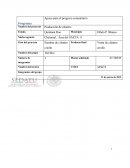 Siembra de cilantro criollo