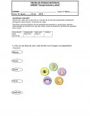 Cuerpo humano y salud PRUEBA