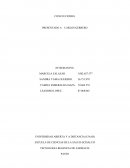 Conclusiones regencia de farmacia