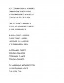 Resumen de adivinansas